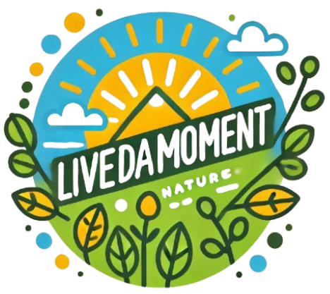 livedamoment-logo